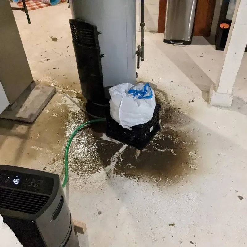 Sewage Backup Cleanup Service in Parkwood, CA